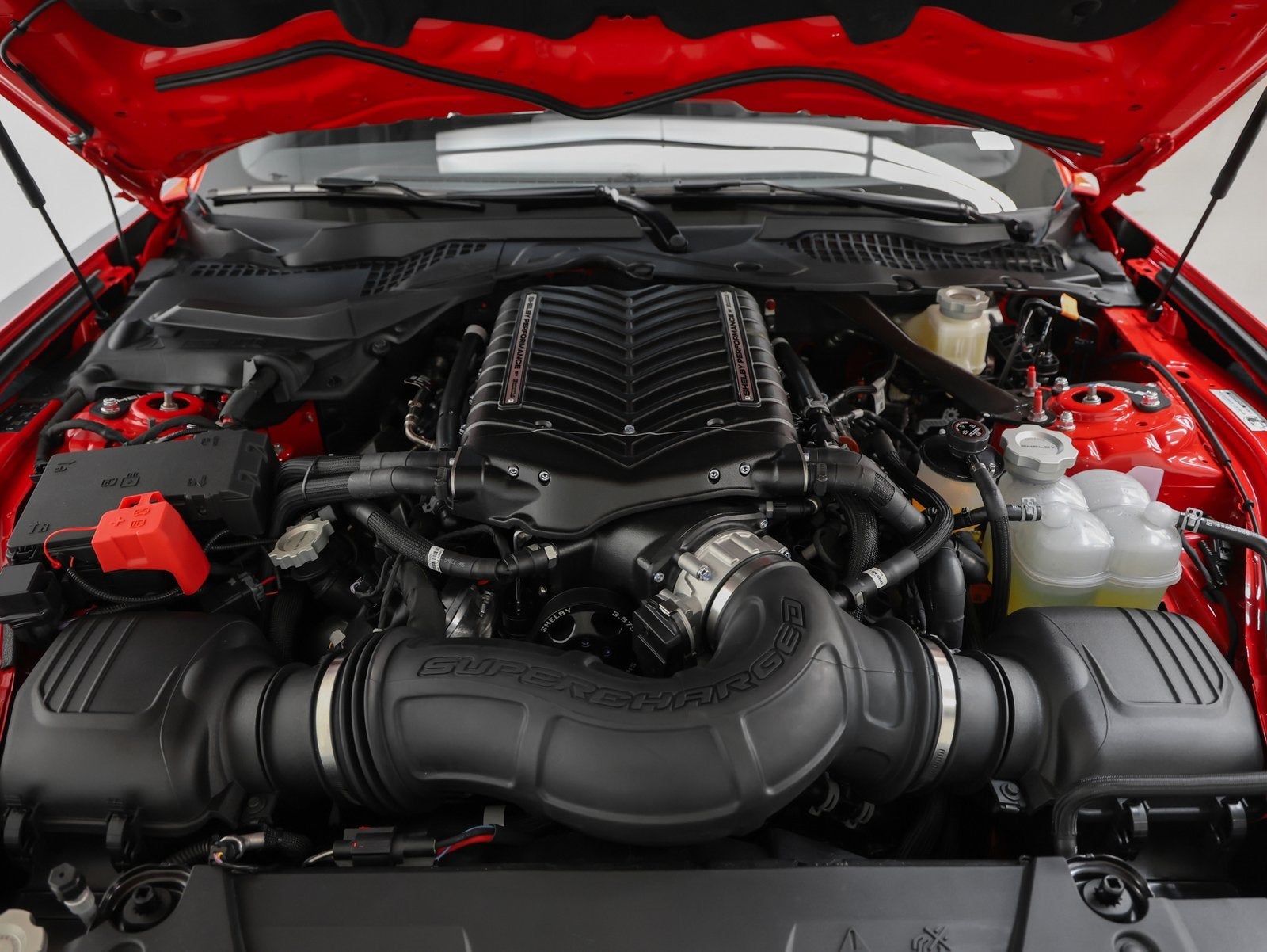 2025 Ford Mustang Shelby GT350