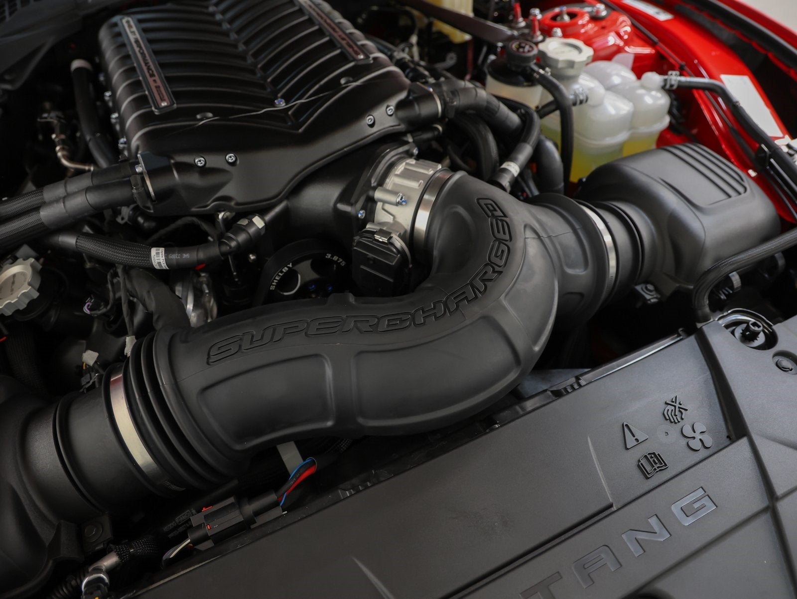 2025 Ford Mustang Shelby GT350