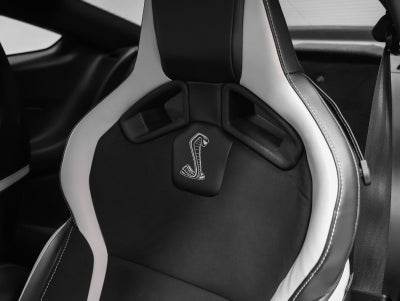 2022 Ford Mustang Shelby GT500