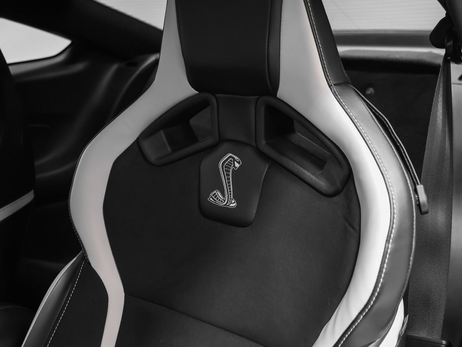 2022 Ford Mustang Shelby GT500