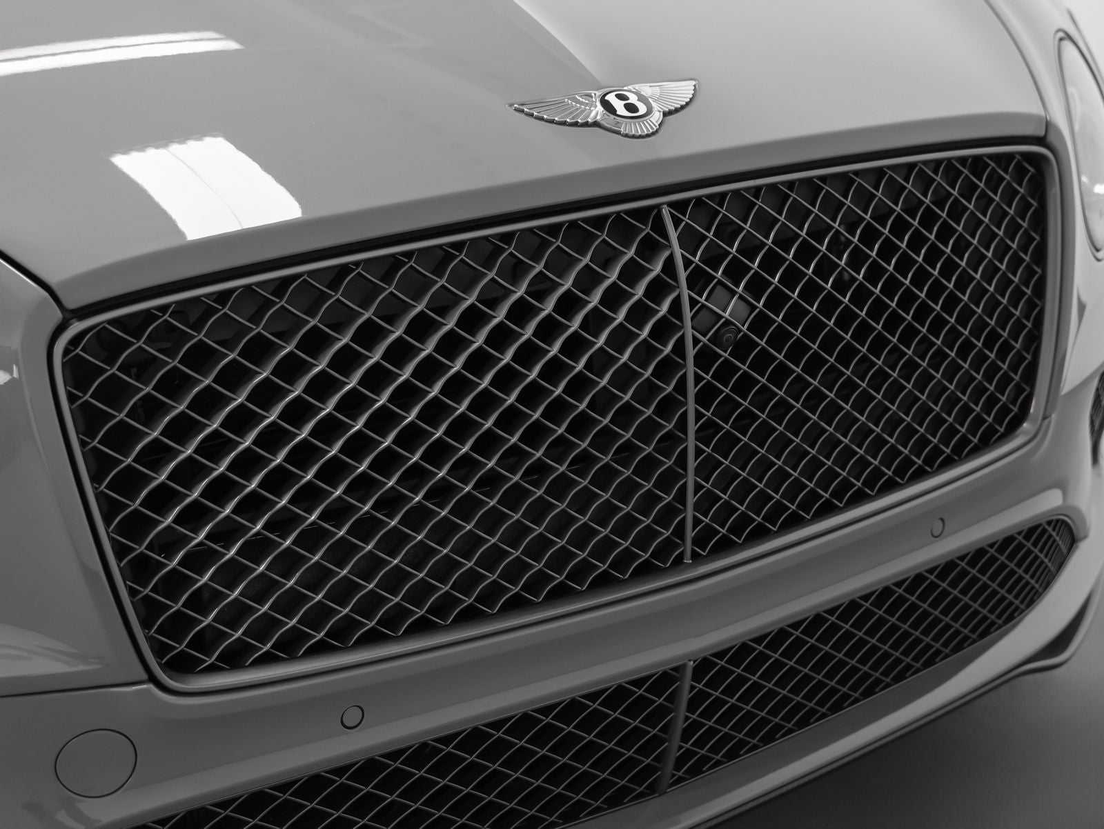 2024 Bentley Continental GT Speed Edition 12