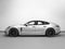 2023 Porsche Panamera 4 Platinum Edition