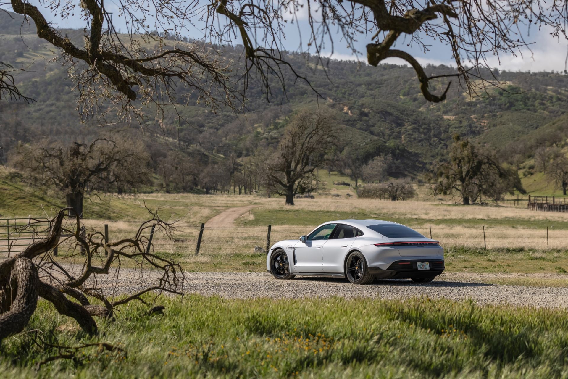  2023 Porsche Taycan Back View in St. Louis MO